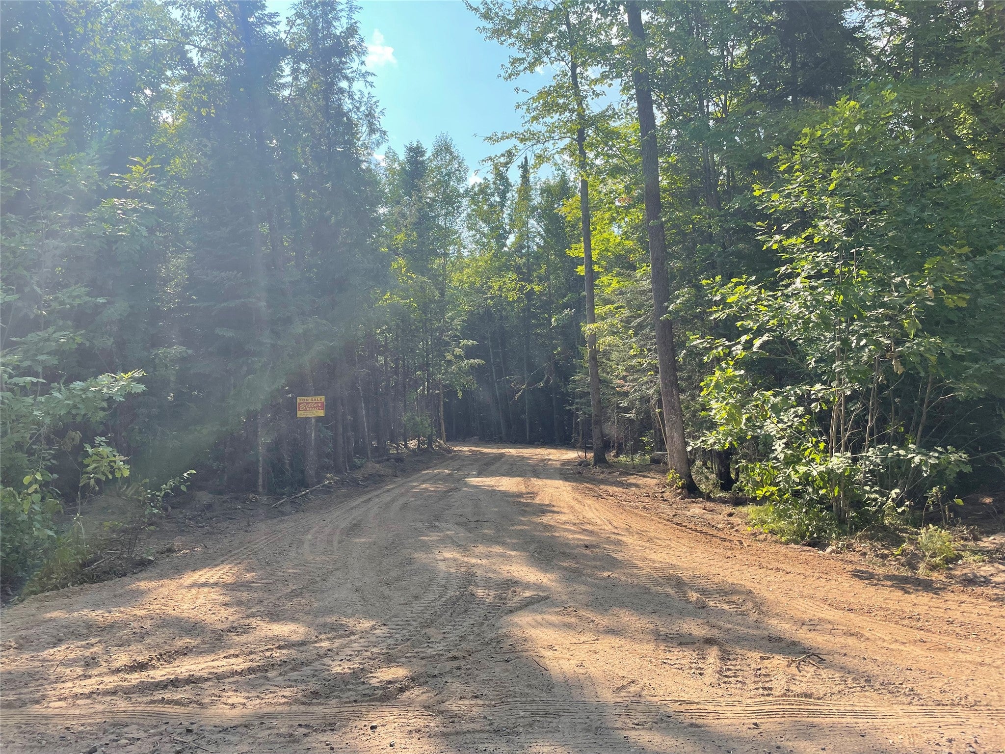 Lot 4 Uncle Toms Road Winter, WI 54896 - Photo 1 of 19 Gallery Image 1