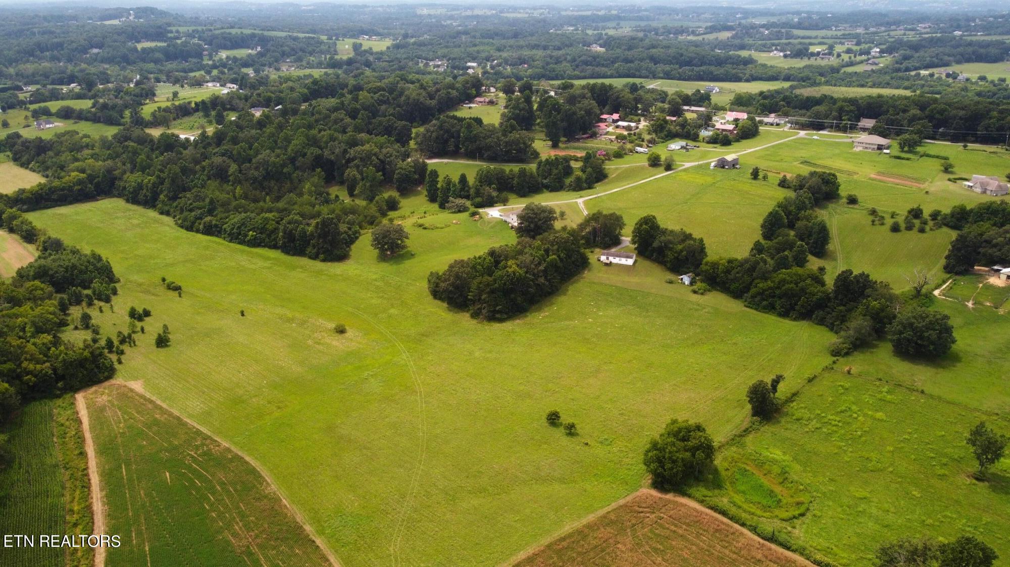DJI_0808a