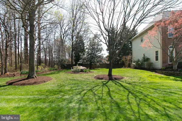 a view of a backyard with a tree