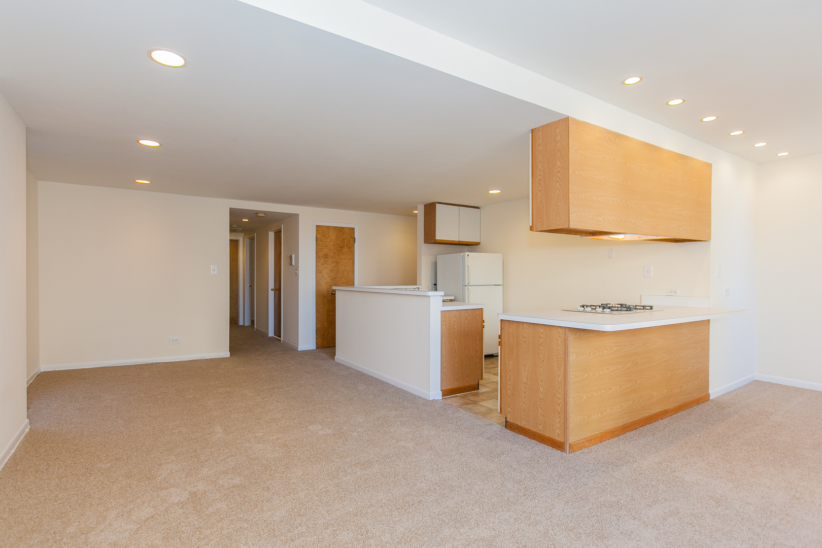 2338 North Clark Street, Unit 4 Chicago, IL 60614 - Photo 4 of 16