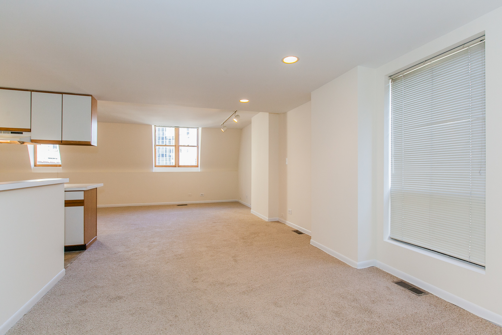 2338 North Clark Street, Unit 4 Chicago, IL 60614 - Photo 9 of 16