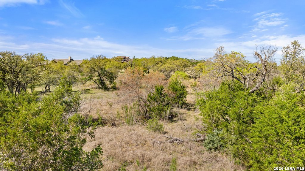 19 Stone Ridge Mountain Drive Round Mountain, TX 78663 - Photo 13 of 42 a view of a large yard with lots of bushes