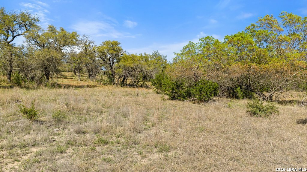 19 Stone Ridge Mountain Drive Round Mountain, TX 78663 - Photo 14 of 42 a view of a yard with a tree