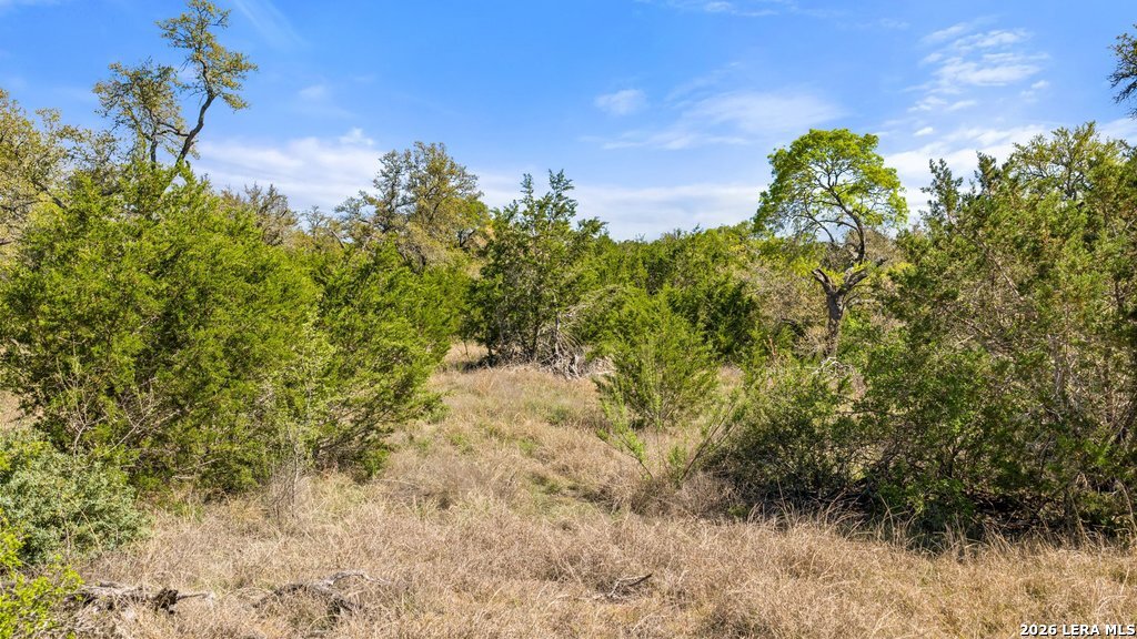 19 Stone Ridge Mountain Drive Round Mountain, TX 78663 - Photo 15 of 42 a view of a bunch of trees and bushes