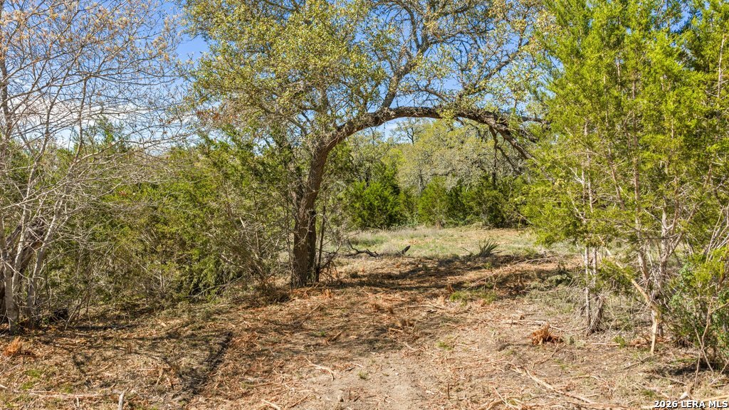 19 Stone Ridge Mountain Drive Round Mountain, TX 78663 - Photo 17 of 42 a view of a yard with trees
