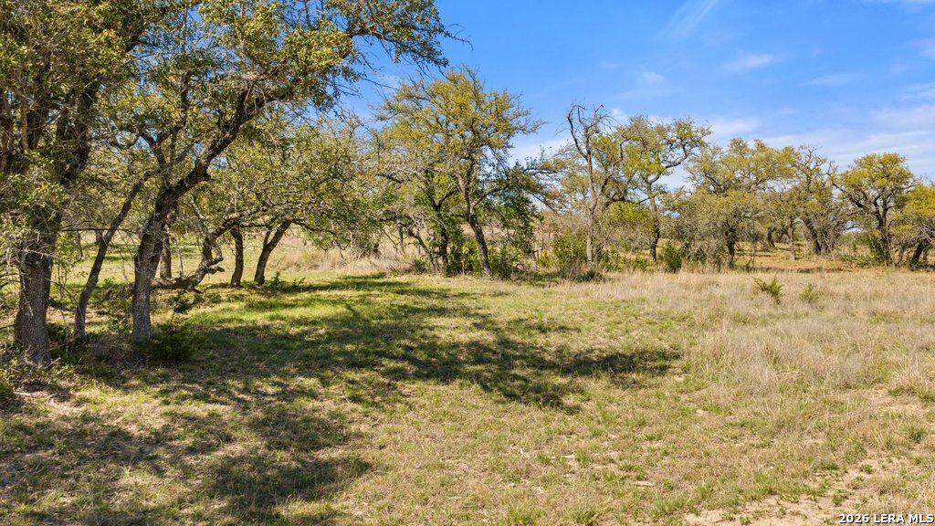 19 Stone Ridge Mountain Drive Round Mountain, TX 78663 - Photo 18 of 42 a view of yard with trees