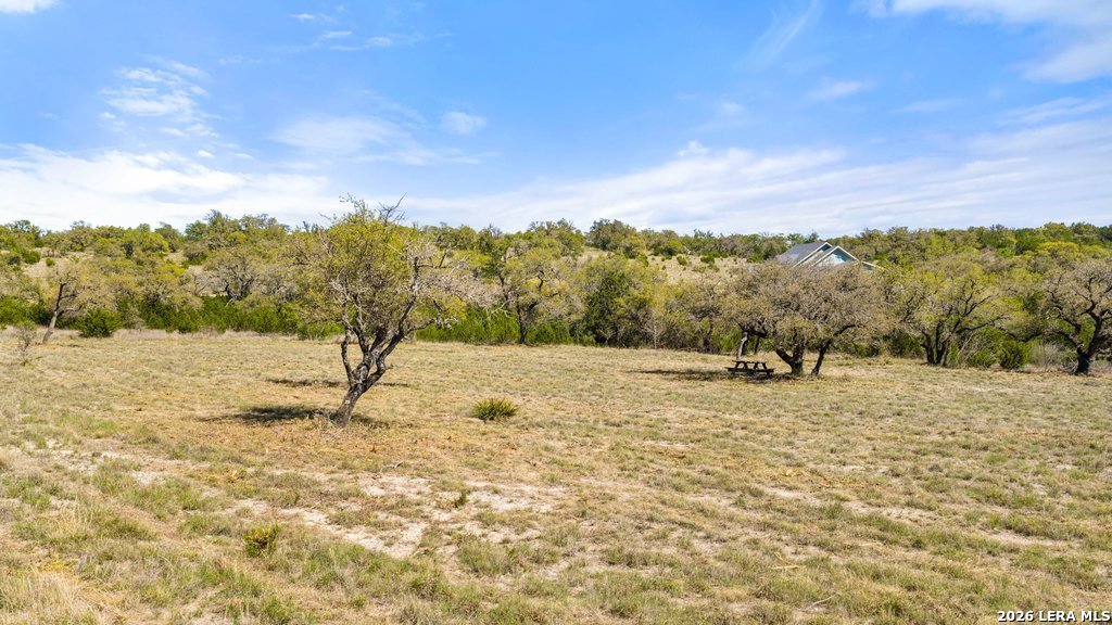 19 Stone Ridge Mountain Drive Round Mountain, TX 78663 - Photo 19 of 42 a view of a yard