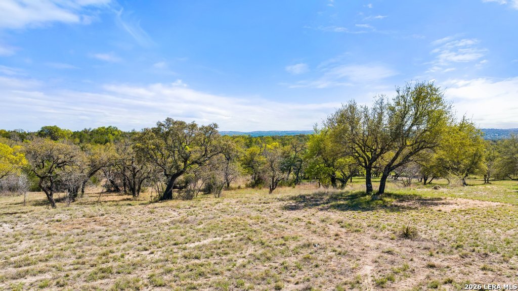 19 Stone Ridge Mountain Drive Round Mountain, TX 78663 - Photo 21 of 42 a view of outdoor space with trees
