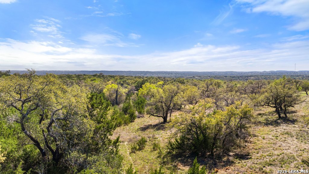 19 Stone Ridge Mountain Drive Round Mountain, TX 78663 - Photo 25 of 42 a view of a yard with an outdoor space