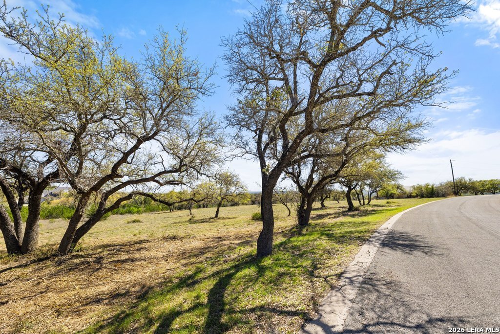 19 Stone Ridge Mountain Drive Round Mountain, TX 78663 - Photo 26 of 42 a view of yard with tree in the background
