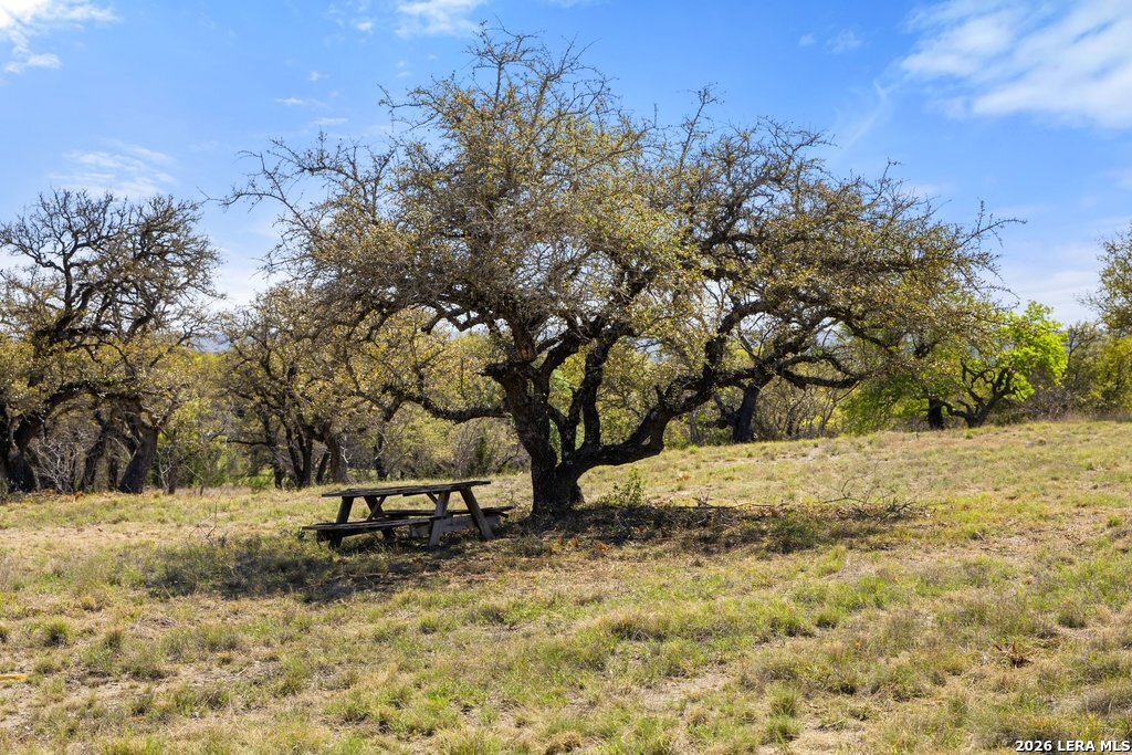 19 Stone Ridge Mountain Drive Round Mountain, TX 78663 - Photo 28 of 42 a view of outdoor space with trees