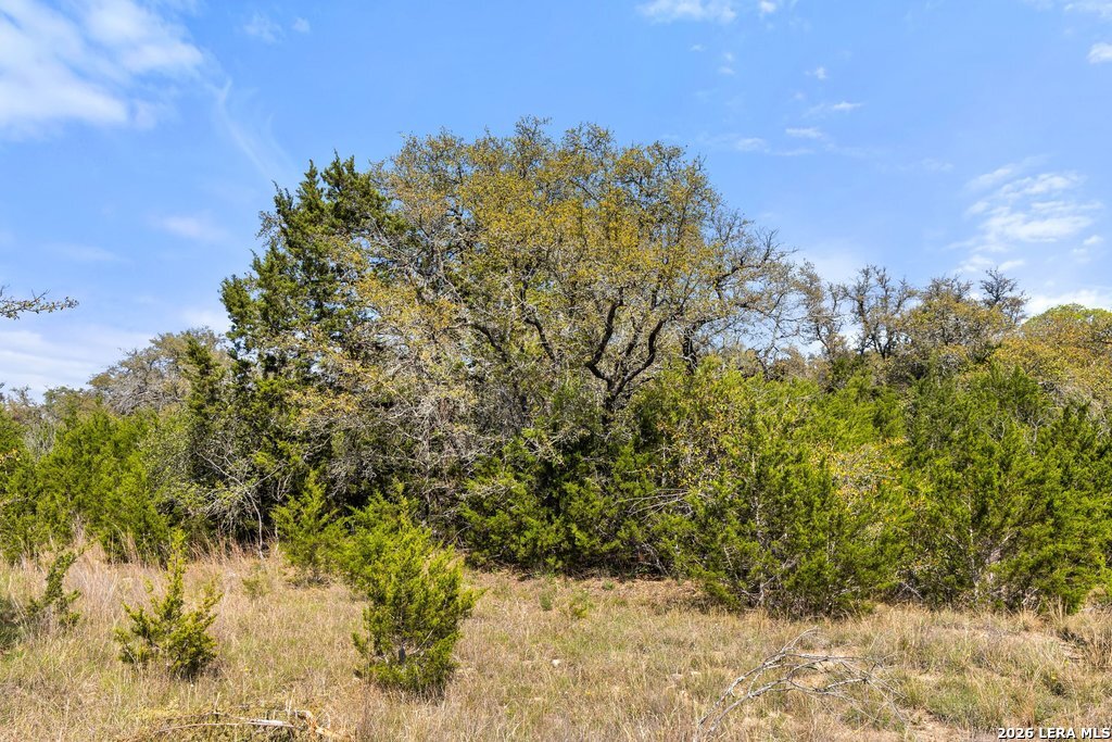 19 Stone Ridge Mountain Drive Round Mountain, TX 78663 - Photo 30 of 42 a view of a yard with a tree