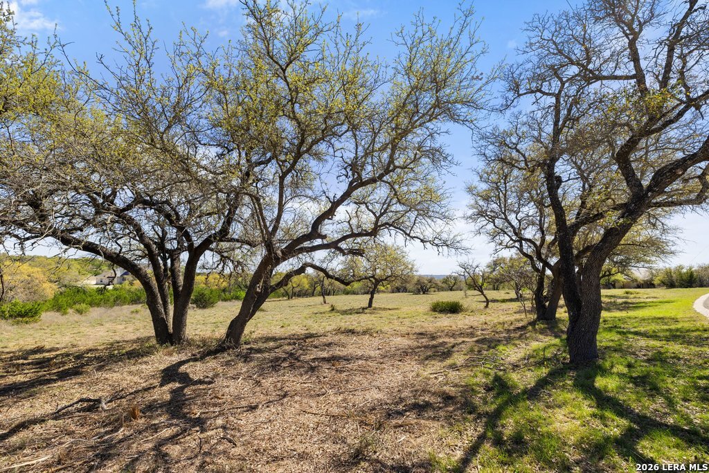 19 Stone Ridge Mountain Drive Round Mountain, TX 78663 - Photo 3 of 42 a view of yard with trees