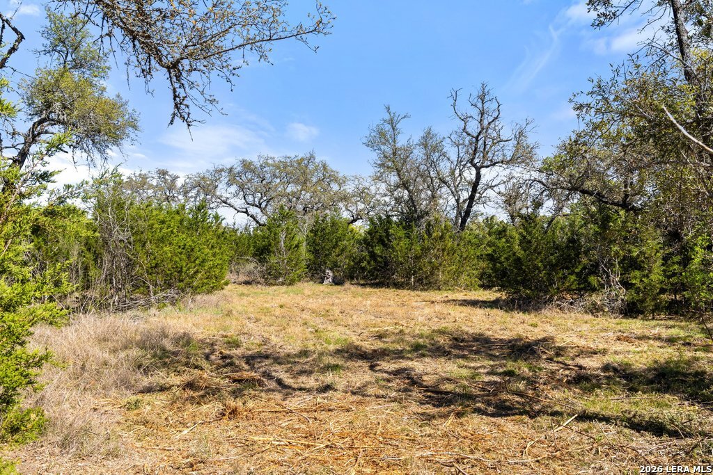 19 Stone Ridge Mountain Drive Round Mountain, TX 78663 - Photo 31 of 42 a view of a yard with trees