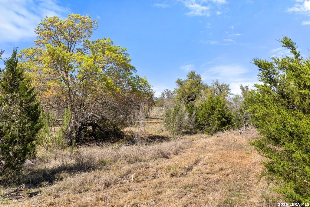 19 Stone Ridge Mountain Drive Round Mountain, TX 78663 - Photo 35 of 42 a view of a dry yard with trees