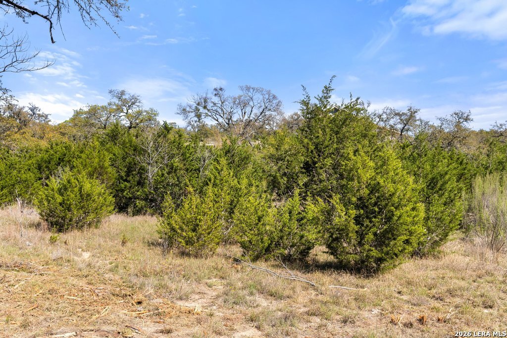 19 Stone Ridge Mountain Drive Round Mountain, TX 78663 - Photo 38 of 42 a view of a yard