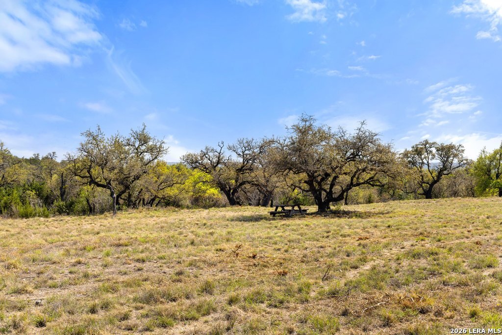 19 Stone Ridge Mountain Drive Round Mountain, TX 78663 - Photo 39 of 42 a view of large yard