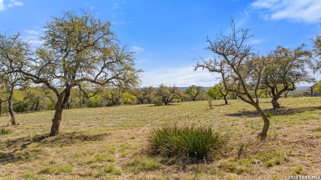19 Stone Ridge Mountain Drive Round Mountain, TX 78663 - Photo 7 of 42 a view of a yard with trees in the background