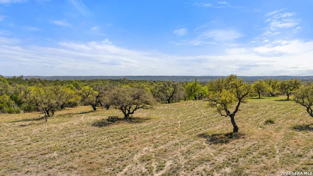 19 Stone Ridge Mountain Drive Round Mountain, TX 78663 - Photo 8 of 42 a view of a yard with a lake view