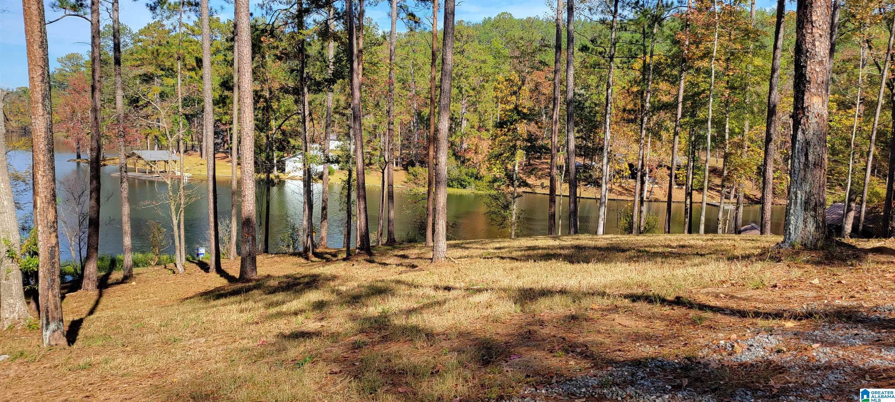 1830 Mimosa Point Road, Unit 1 Rockford, AL 35136 - Photo 8 of 24