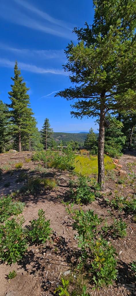 8755 Deiffendeffer Rye, CO 81069 - Photo 35 of 35
