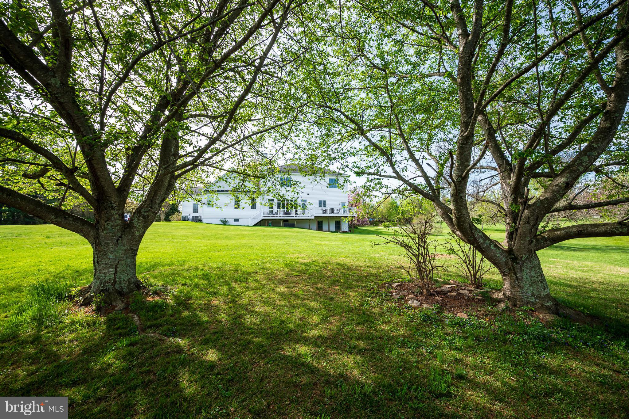 12850 Highland Road Highland, MD 20777 - Photo 47 of 56 View of rear of home from under trees
