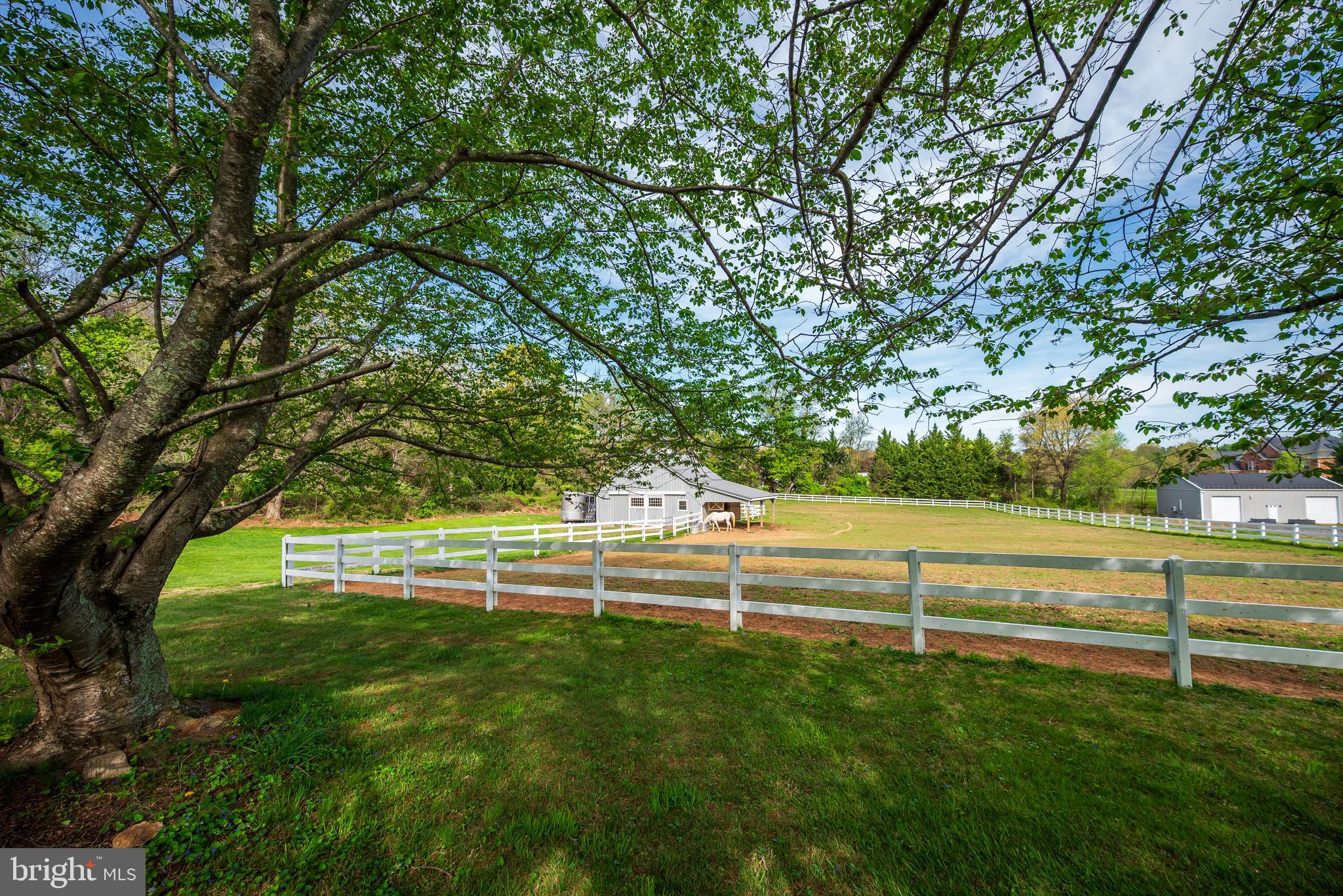 12850 Highland Road Highland, MD 20777 - Photo 51 of 56 Paddock