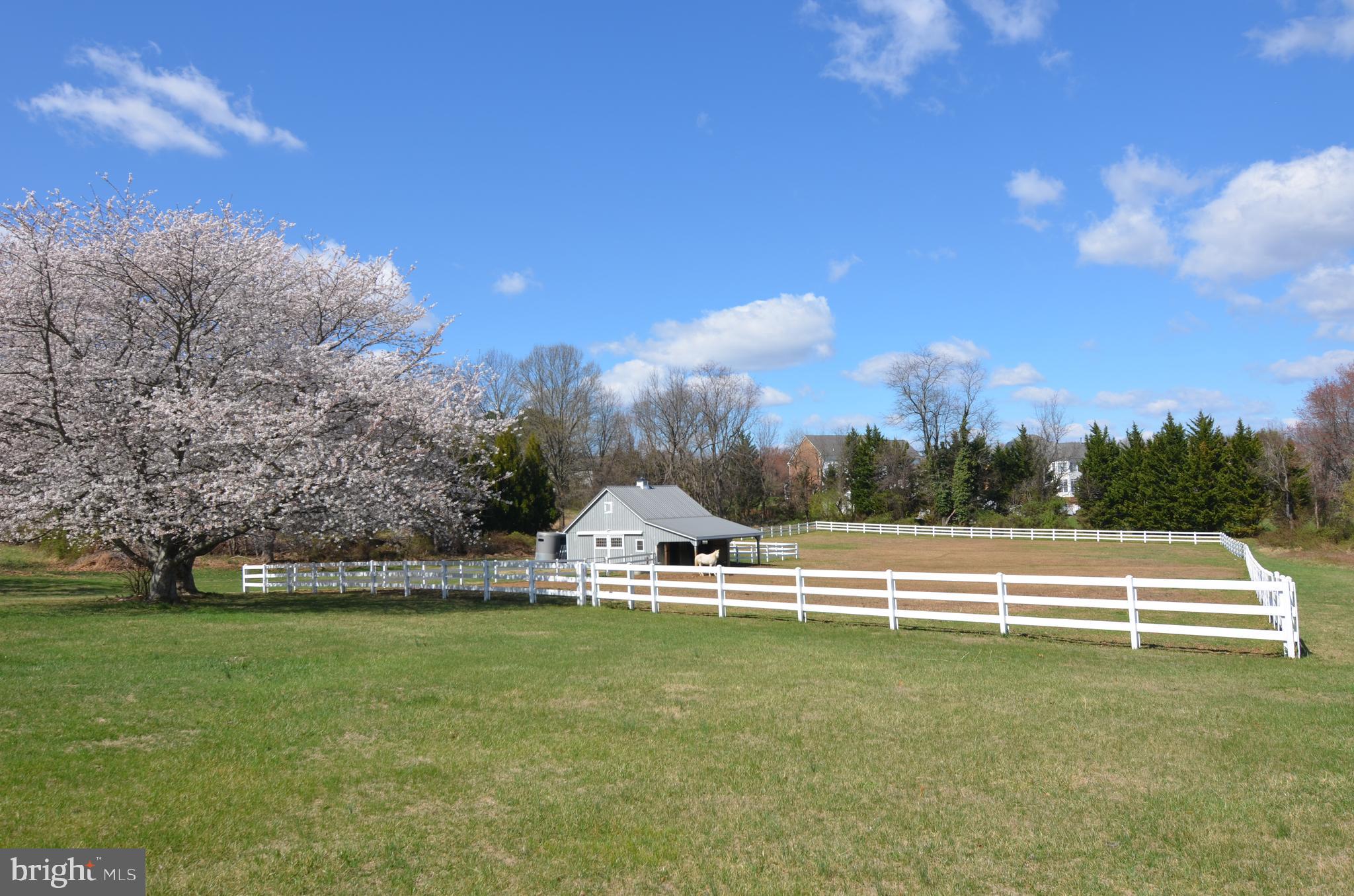 12850 Highland Road Highland, MD 20777 - Photo 9 of 11 Barn and pasture