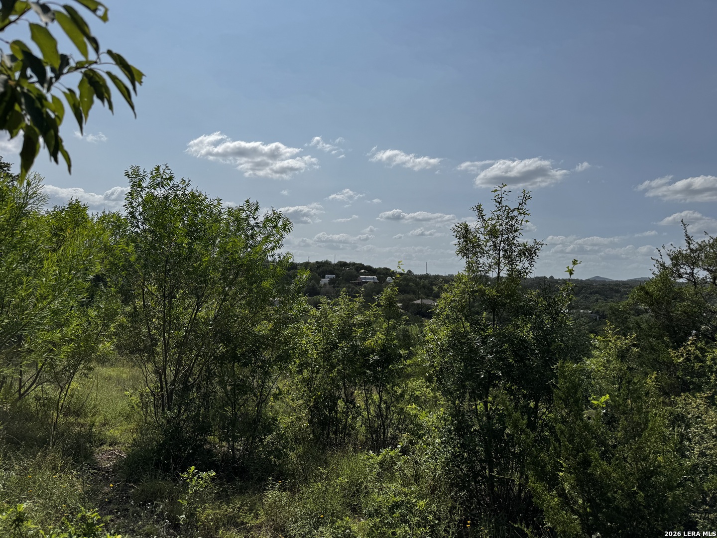 Lot 1 Hillside Drive Spring Branch, TX 78070 - Photo 6 of 11