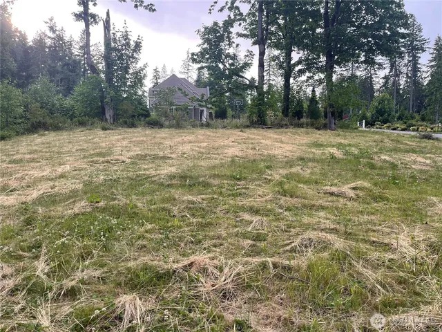 a view of a green field with trees in the background