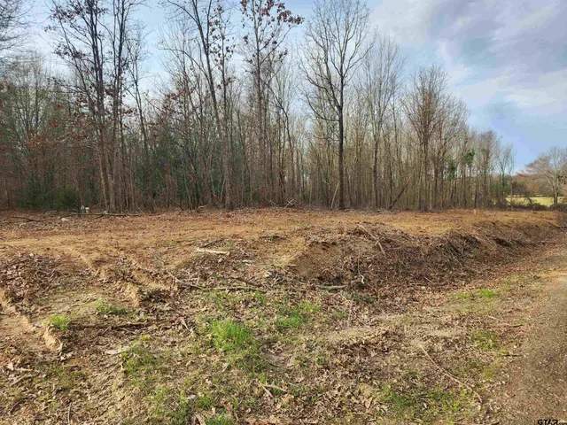 a view of field with trees in the background