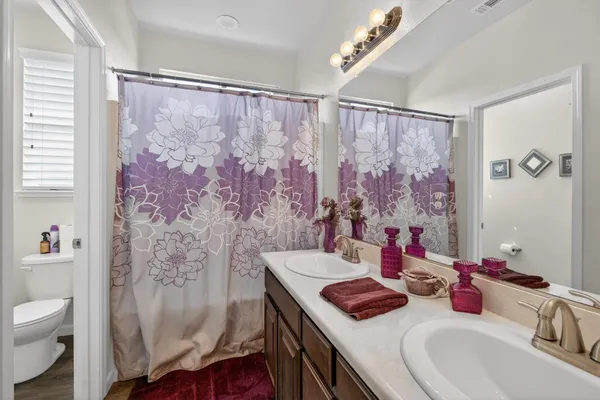 a bathroom with a sink a toilet and shower curtain