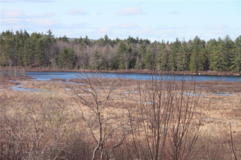 431 Bridgton Road Sebago, ME 04029 - Photo 5 of 15 Photo