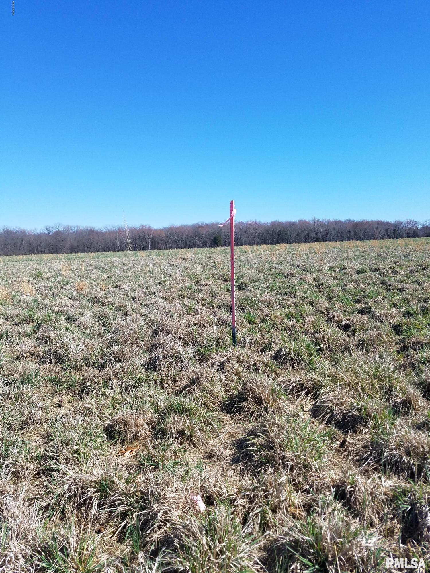 8270 Sunnybrook Road Marion, IL 62959 - Photo 8 of 8
