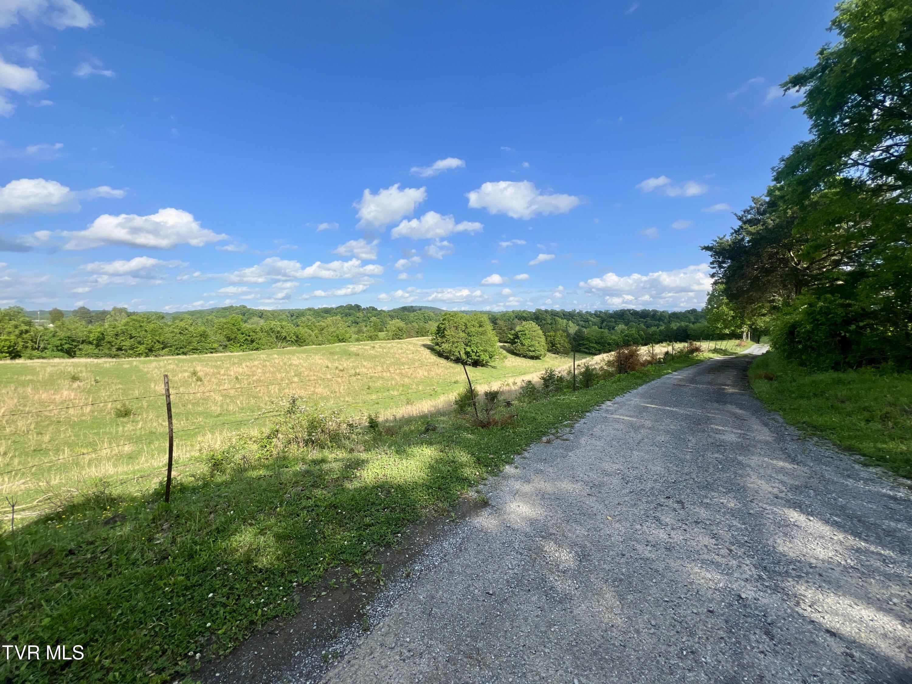 Tbd Paul Weems Road Greeneville, TN 37745 - Photo 8 of 59 _Pic8 (19)