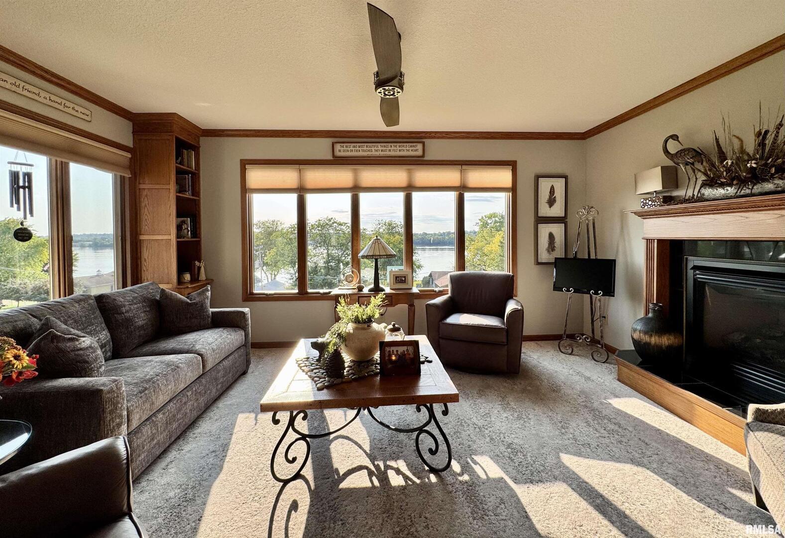 102 5th Street, Unit 6 Fulton, IL 61252 - Photo 18 of 42 a living room with furniture and a fireplace