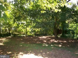 1003 Riverside Drive Salisbury, MD 21801 - Photo 7 of 8 Gallery Image 7