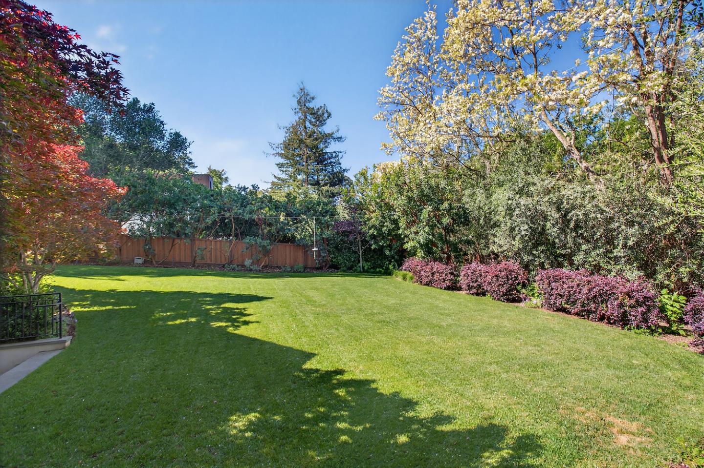 351 Walsh Road Atherton, CA 94027 - Photo 55 of 65 a view of a garden with a tree