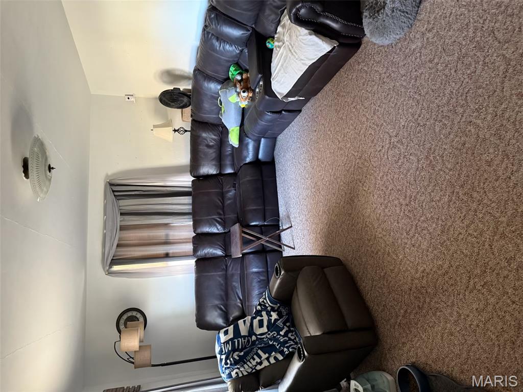 530 Hall Street Troy, MO 63379 - Photo 5 of 14