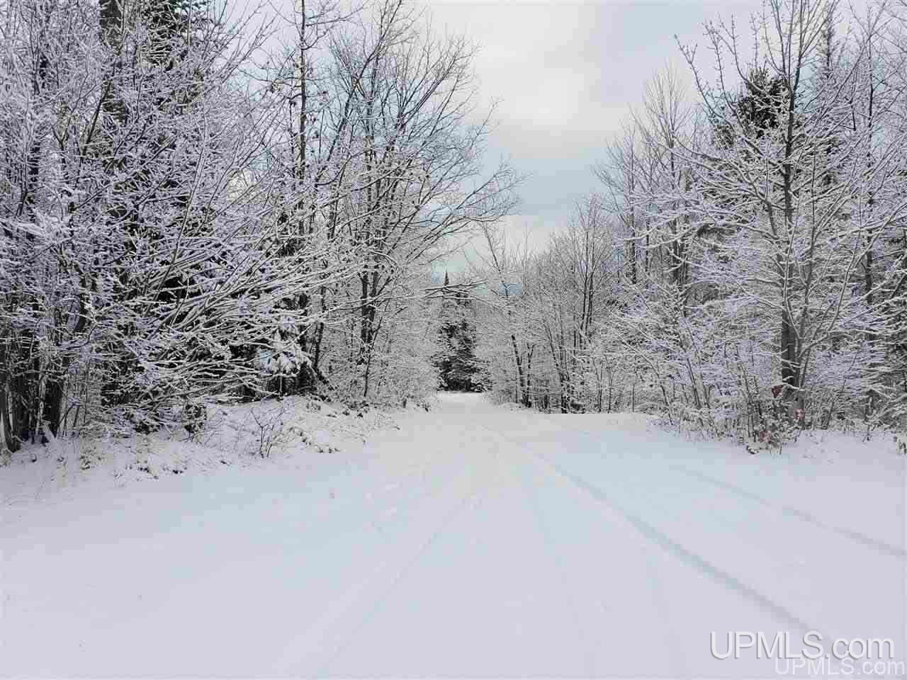 27470 Baulman Road Hancock, MI 49930 - Photo 10 of 12 Gallery Image 10