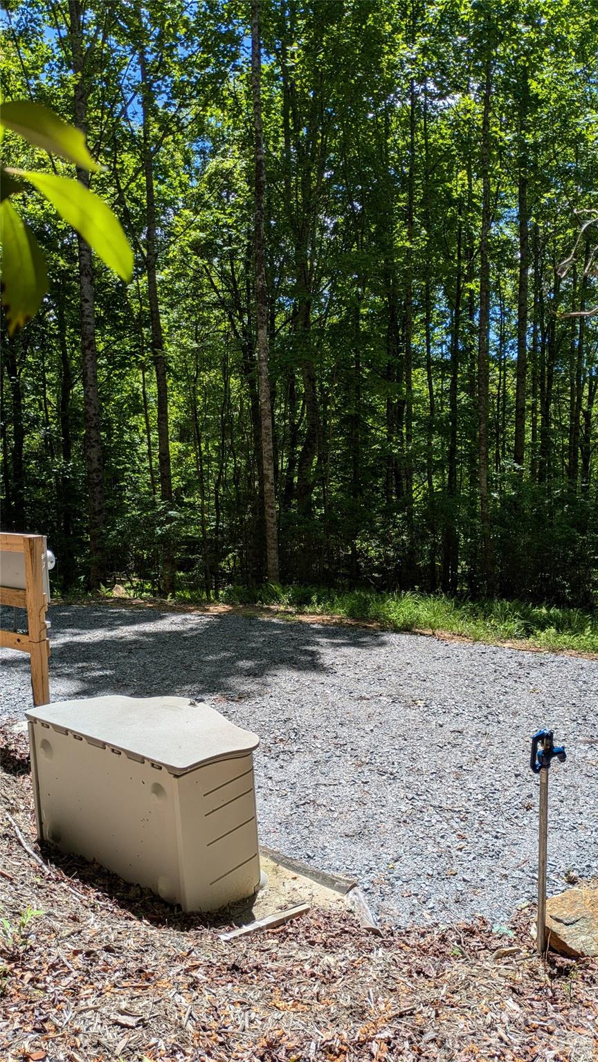 313 Line Runner Ridge Road Brevard, NC 28712 - Photo 21 of 33