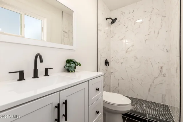 a bathroom with a sink a toilet and shower