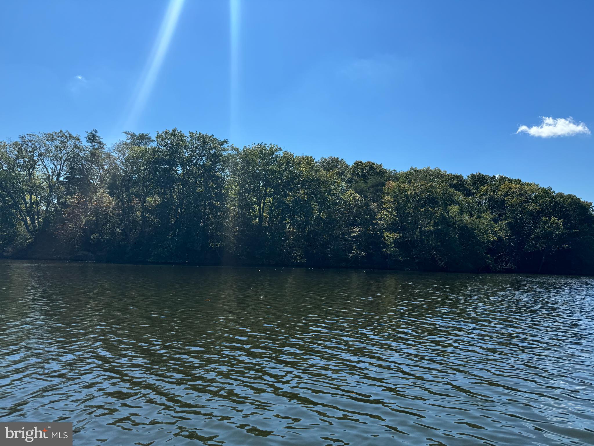 Serene waters reflect a vibrant forest.