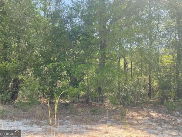 $14,500 | Lot 7 Riverbank Road, Reidsville, GA 30453