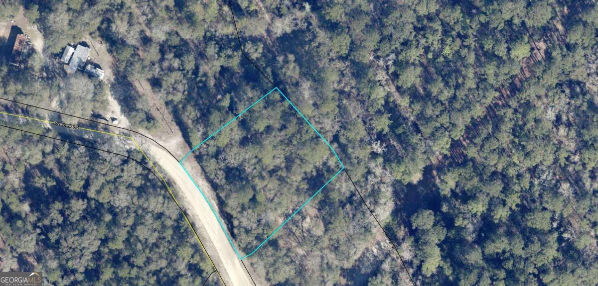 Lot 7 Riverbank Road Reidsville, GA 30453 - Photo 2 of 2 a view of a forest with a tree