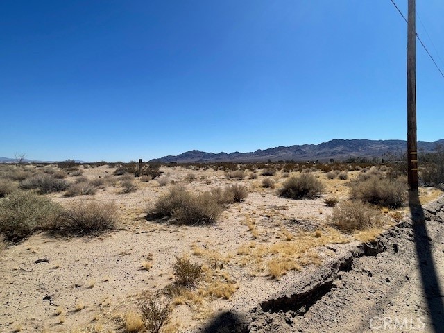 33255 Minneola Road Newberry Springs, CA 92365 - Photo 13 of 29