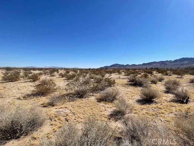 33255 Minneola Road Newberry Springs, CA 92365 - Photo 22 of 29