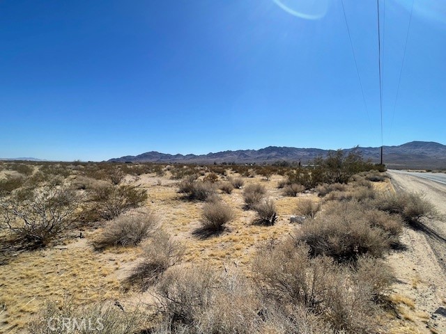 33255 Minneola Road Newberry Springs, CA 92365 - Photo 23 of 29