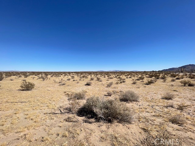 33255 Minneola Road Newberry Springs, CA 92365 - Photo 25 of 29