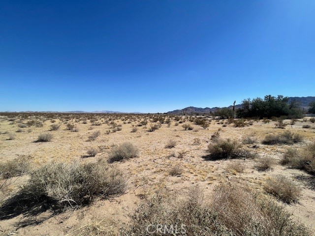 33255 Minneola Road Newberry Springs, CA 92365 - Photo 26 of 29